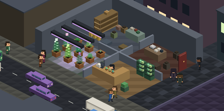 Le local en partie avancée : neuf pots sous rampes LED, des plantes prêtes à récolter, la boutique qui tourne à côté